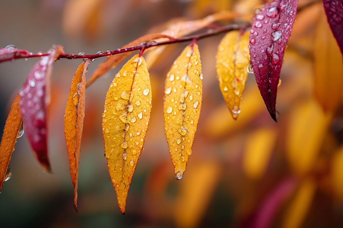 Изображение сгенерировано при помощи нейросети Midjourney