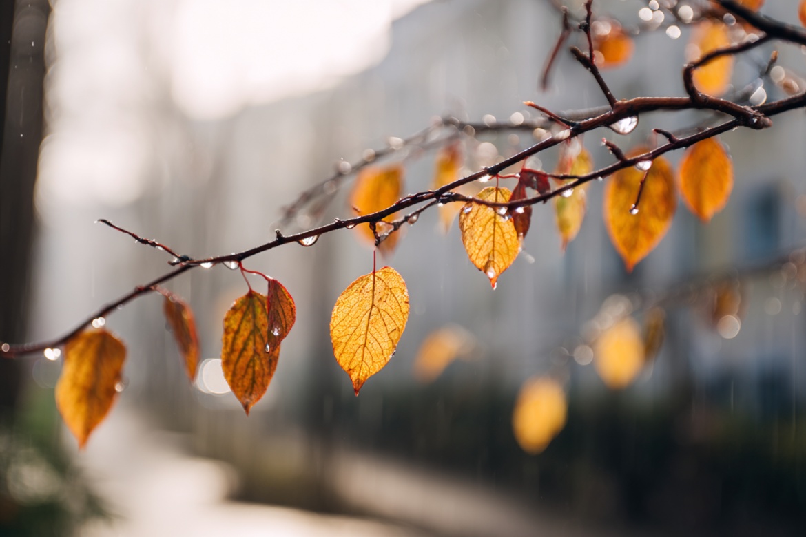 Изображение сгенерировано при помощи нейросети Midjourney