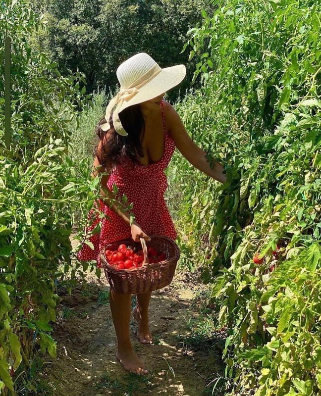 Фото: pinterest/@coscaexports