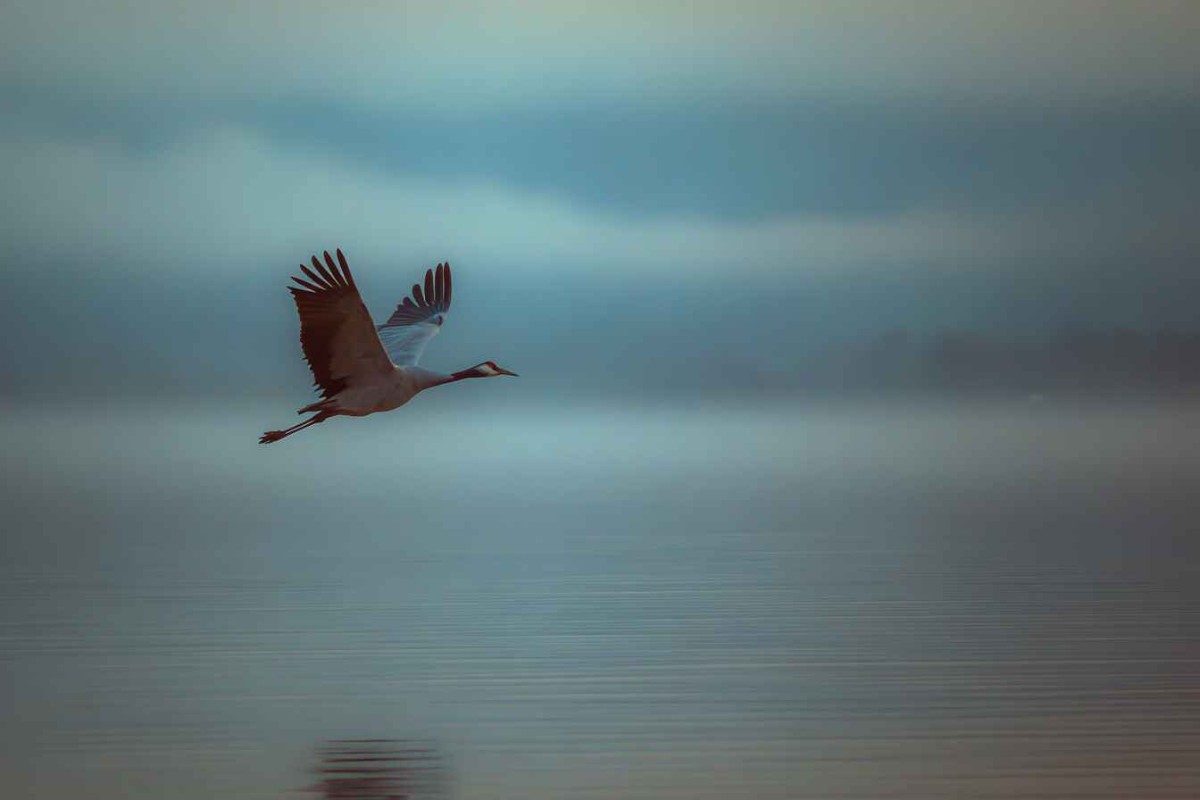 Изображение сгенерировано при помощи нейросети Midjourney