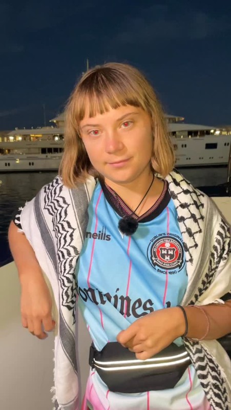 Грета Тунберг. Фото: соцсети/@gretathunberg