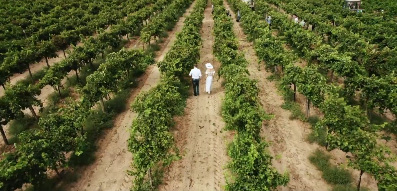 Фото: YouTube / @wine_house_sennoy7433