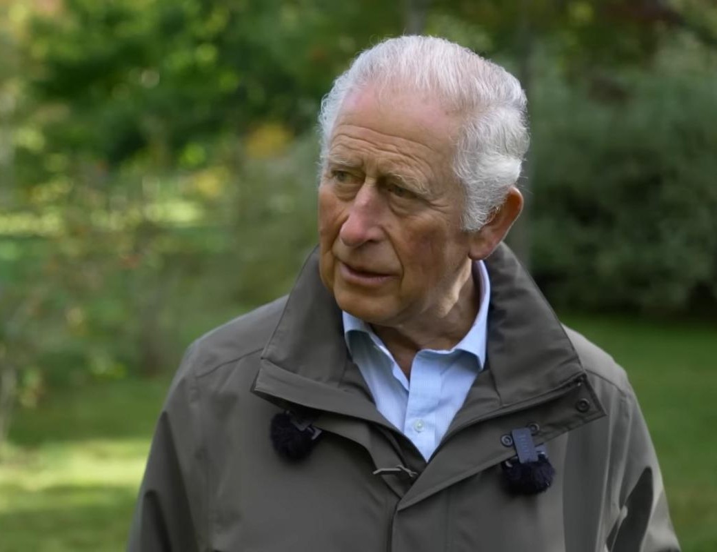Король Карл III. Фото: скриншот YouTube /@BBCNews