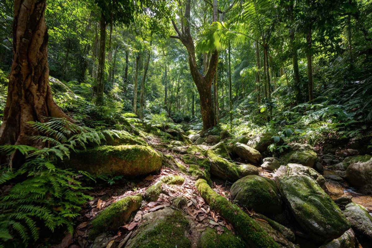 Изображение сгенерировано при помощи нейросети Midjourney