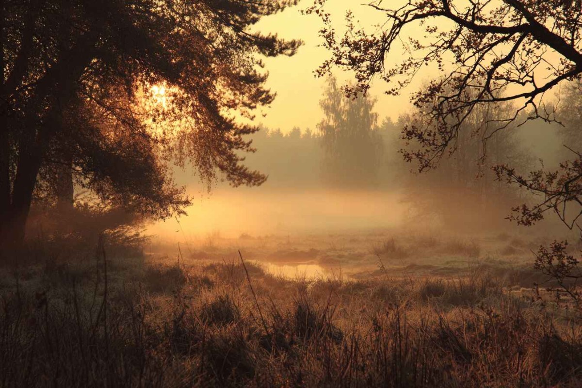 Изображение сгенерировано при помощи нейросети Midjourney