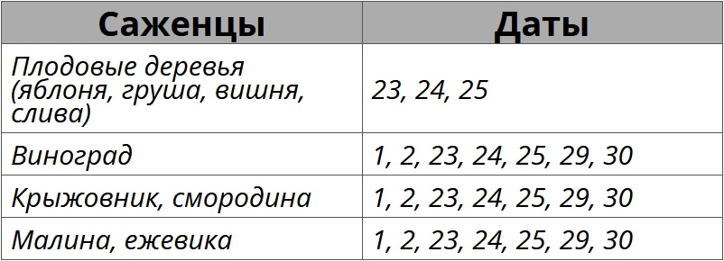 Благоприятные дни для посадки кустарников и деревьев по лунному календарю на ноябрь 2025 – Kleo.ru
