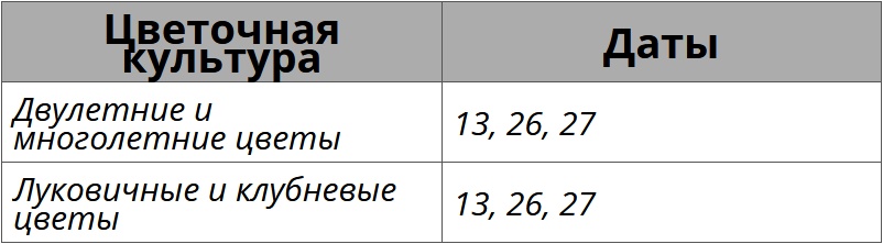 Благоприятные дни для посадки цветов по лунному календарю на ноябрь 2025 – Kleo.ru
