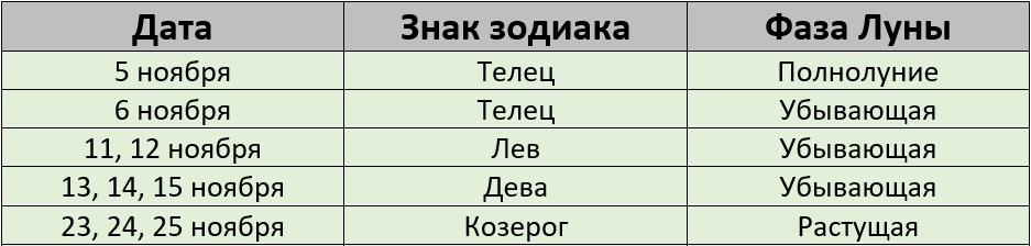 Благоприятные дни для стрижки по лунному календарю на ноябрь 2025 года
