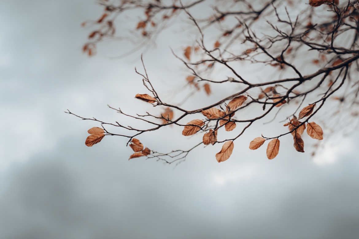 Изображение сгенерировано при помощи нейросети Midjourney