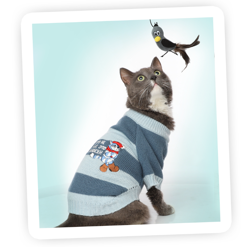 Фото предоставлено пресс-службой компании