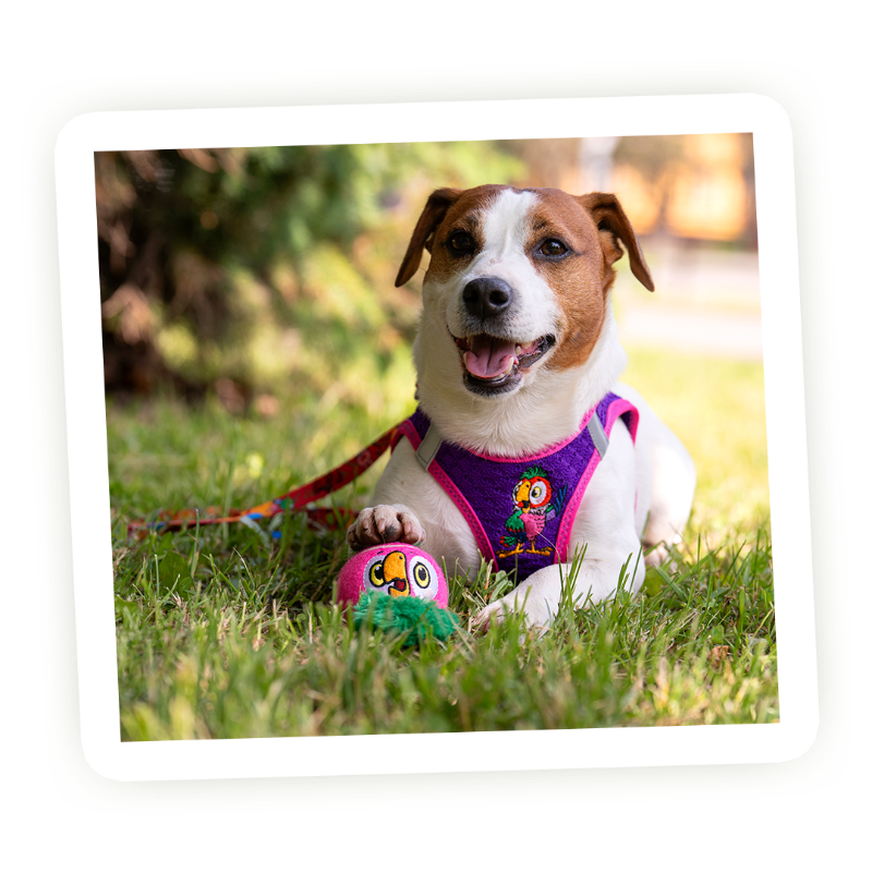 Фото предоставлено пресс-службой компании