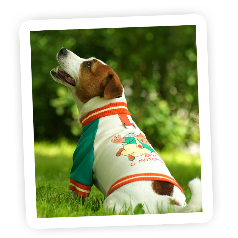 Фото предоставлено пресс-службой компании