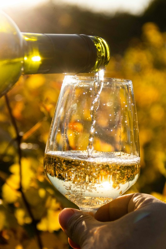 Фото: unsplash.com