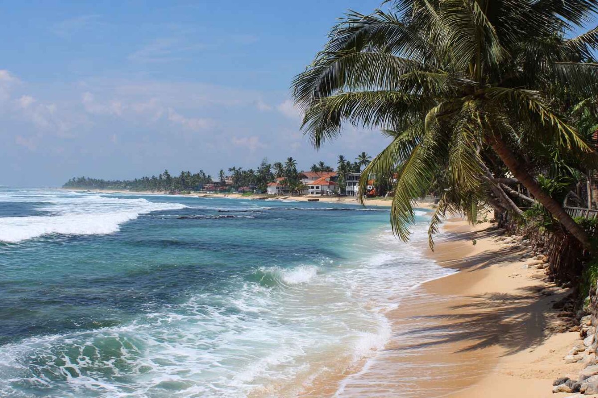 Изображение сгенерировано при помощи нейросети Midjourney