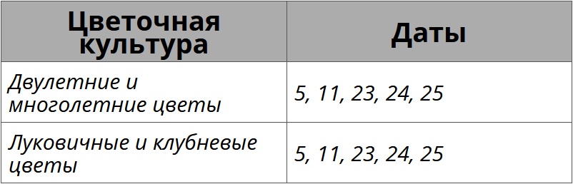 Лунный посевной календарь на декабрь 2025 года для цветов – Kleo.ru