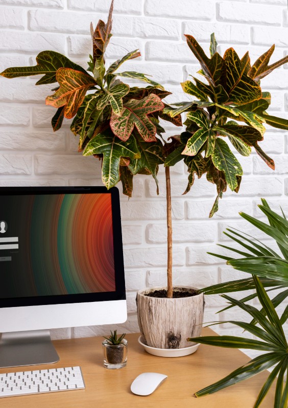 Фото: Freepik.com