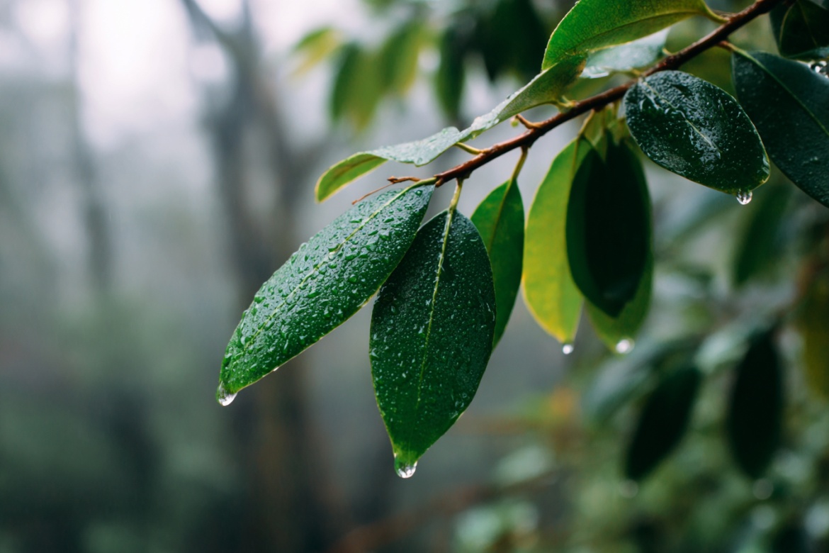 Изображение сгенерировано при помощи нейросети Midjourney