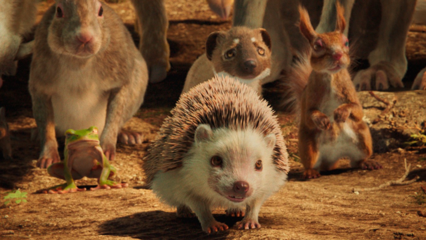 Кадр из фильма "Пушистые каникулы" (2025), реж. Сильвия Кер