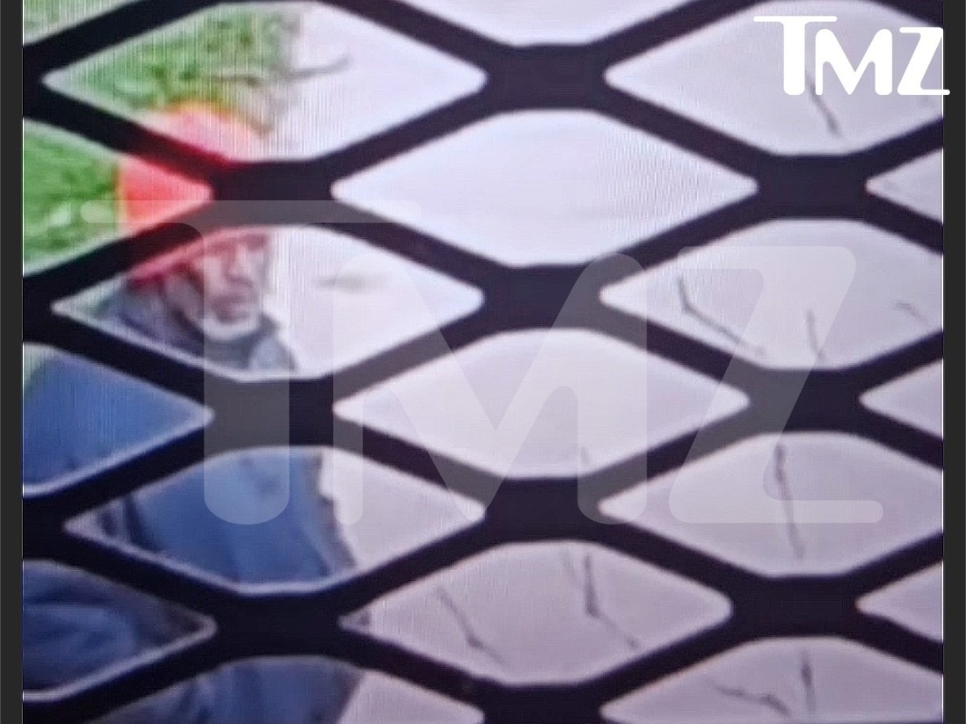 Пи Дидди. Фото: Legion-Media