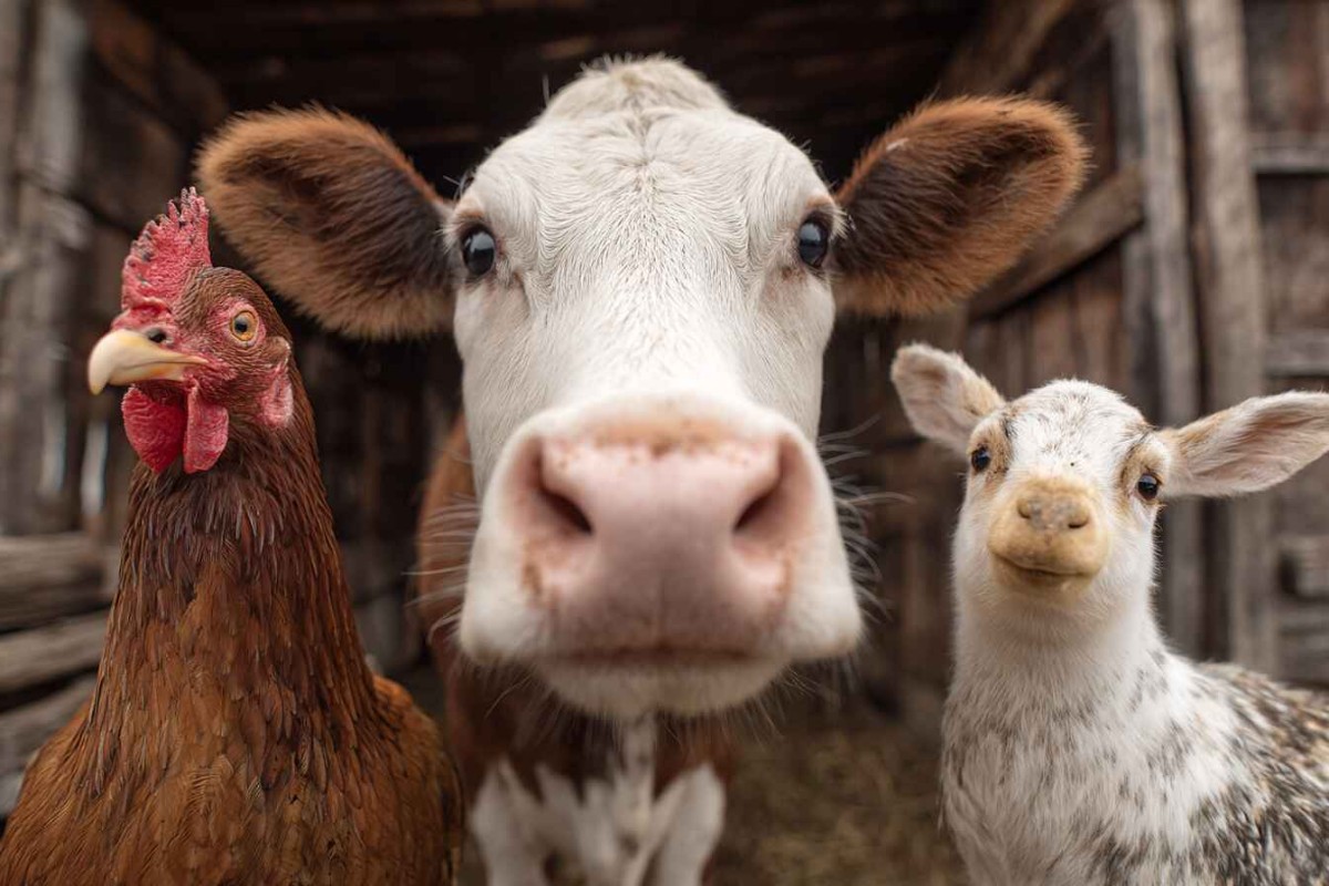 Изображение сгенерировано при помощи нейросети Midjourney