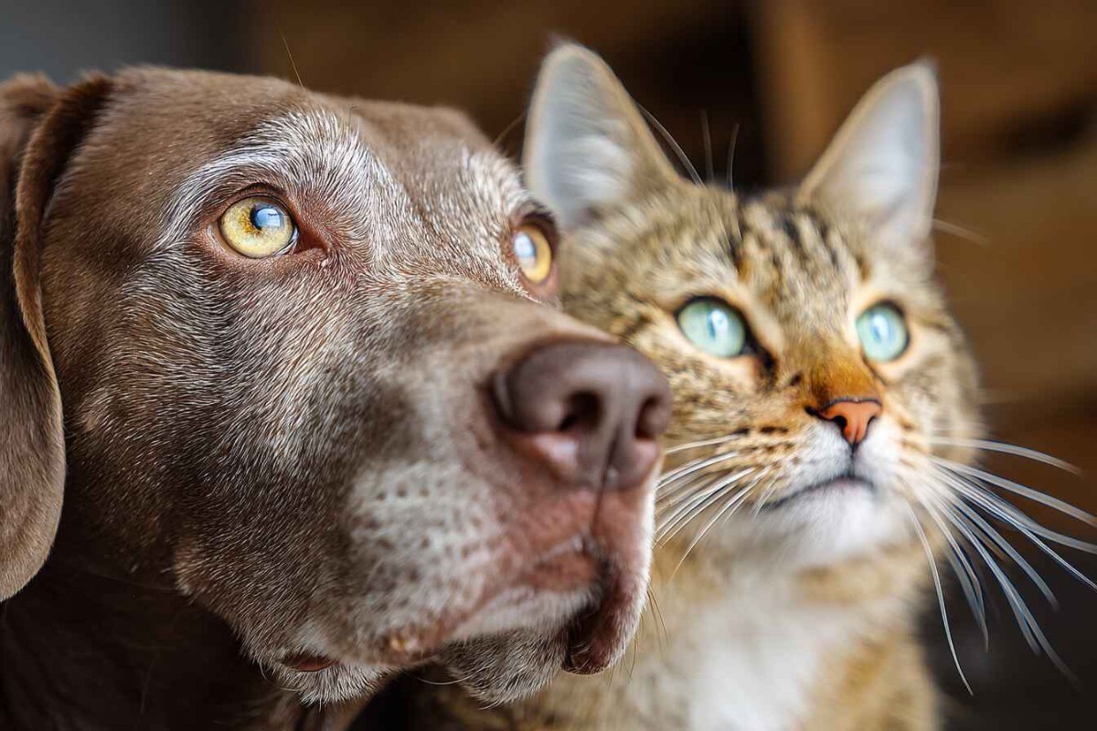 Изображение сгенерировано при помощи нейросети Midjourney