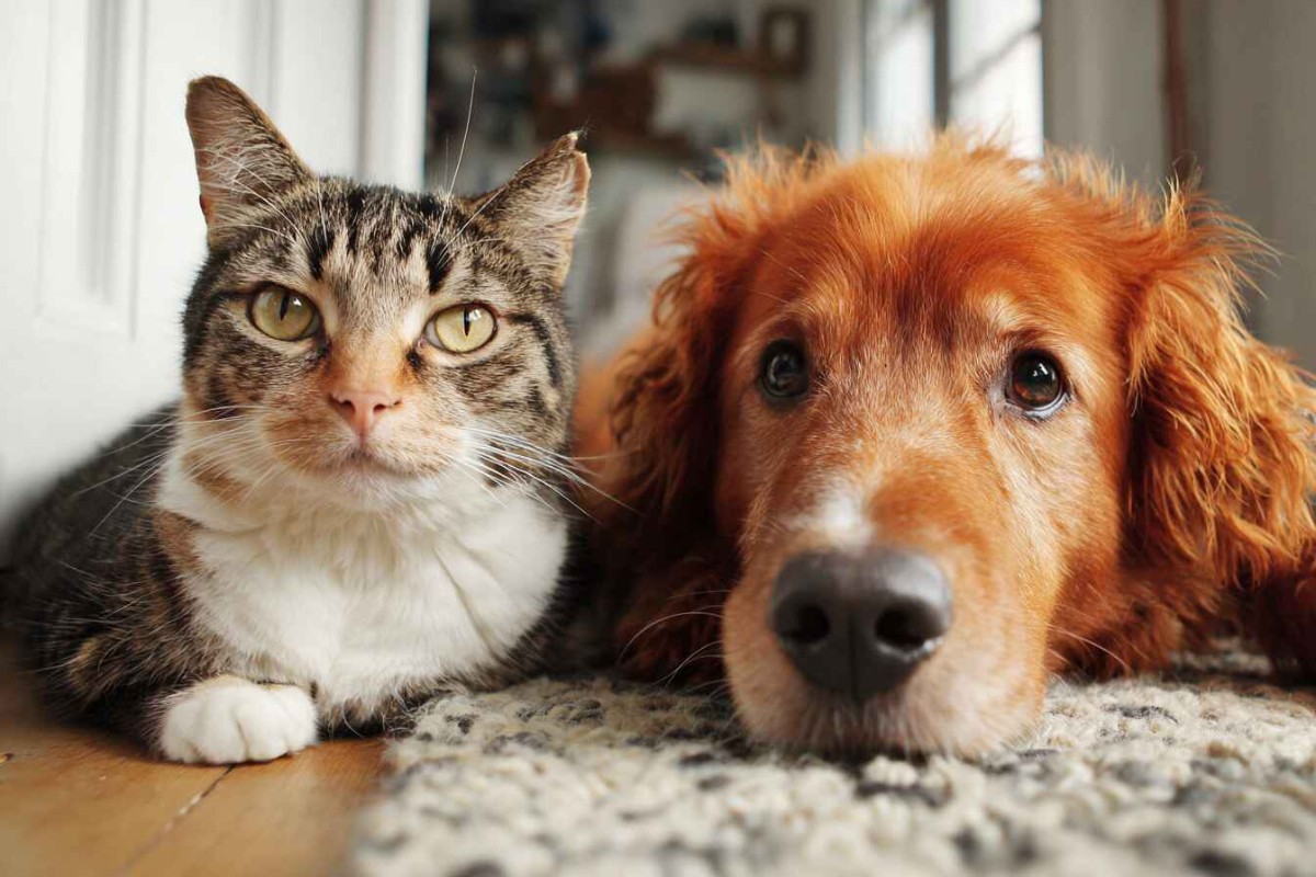 Изображение сгенерировано при помощи нейросети Midjourney