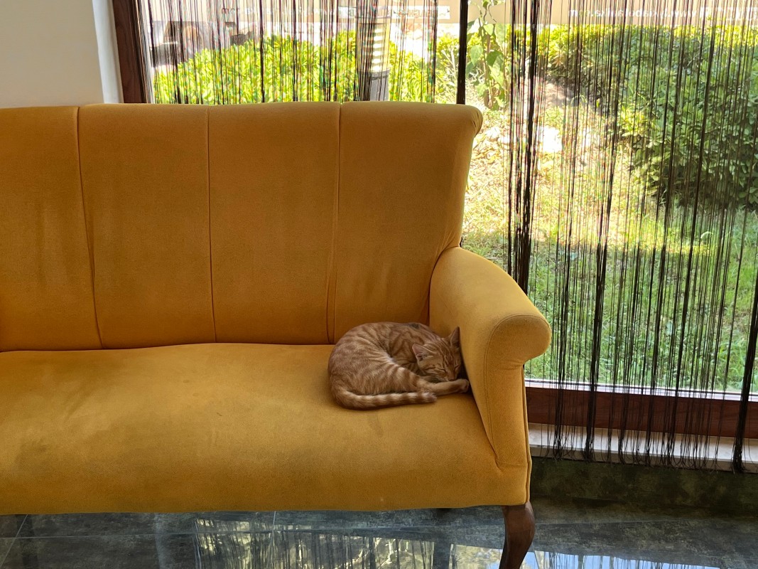 Хобби, от которого "дзинькает" внутри… Фото: Юлия Крышевич