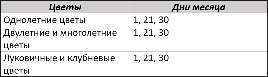 Благоприятные дни для посадки цветов по лунному календарю на январь 2026 года – Kleo.ru