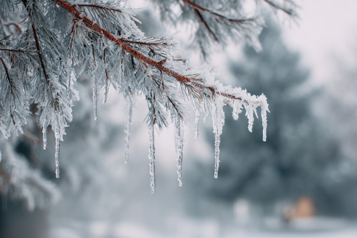 Изображение сгенерировано при помощи нейросети Midjourney