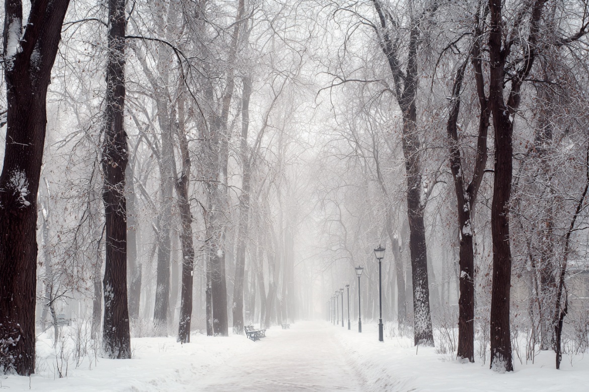 Изображение сгенерировано при помощи нейросети Midjourney