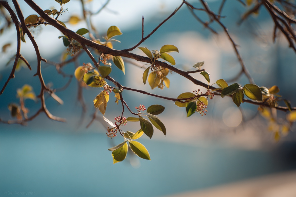 Изображение сгенерировано при помощи нейросети Midjourney