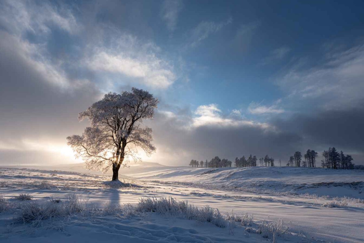 Изображение сгенерировано при помощи нейросети Midjourney