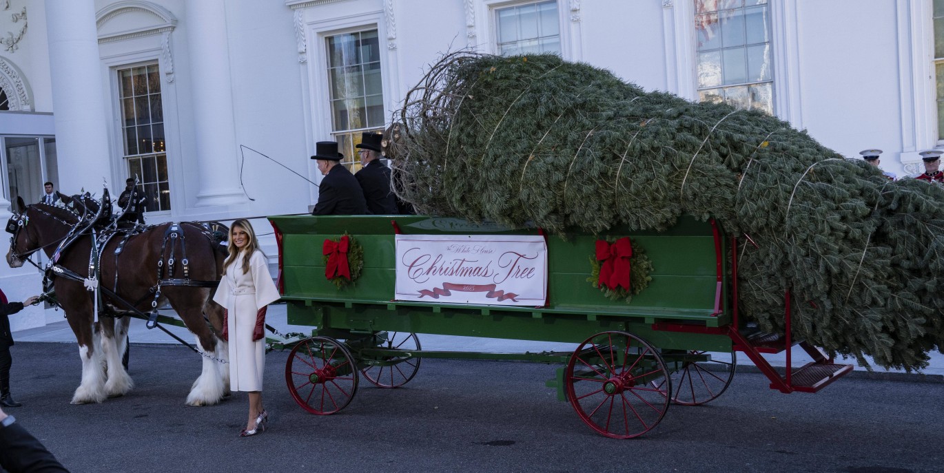 Мелания Трамп в пальто Dior приняла рождественскую ель Белого дома