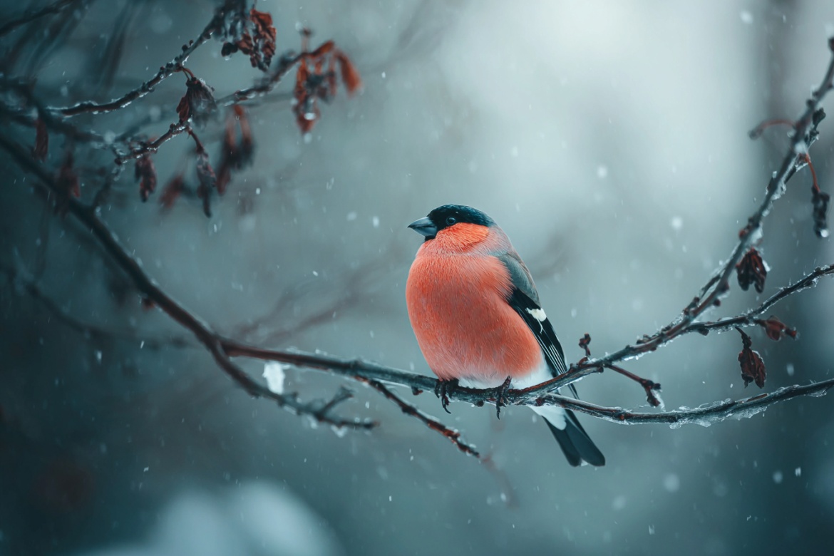 Изображение сгенерировано при помощи нейросети Midjourney