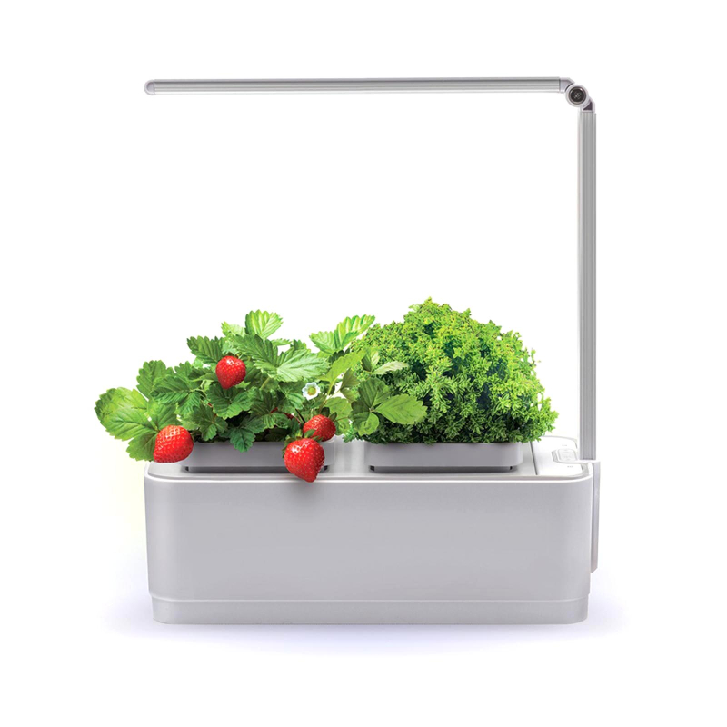 Фото: архив пресс-службы бренда "Назад к истокам" / nazadkistokam.ru