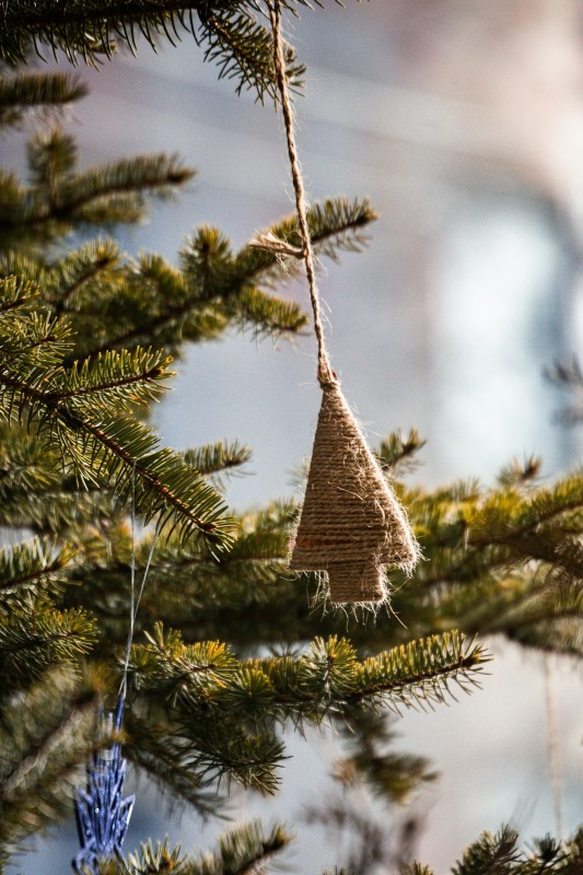 Фото: unsplash.com