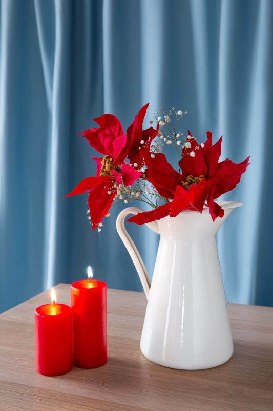 Фото: freepik.com