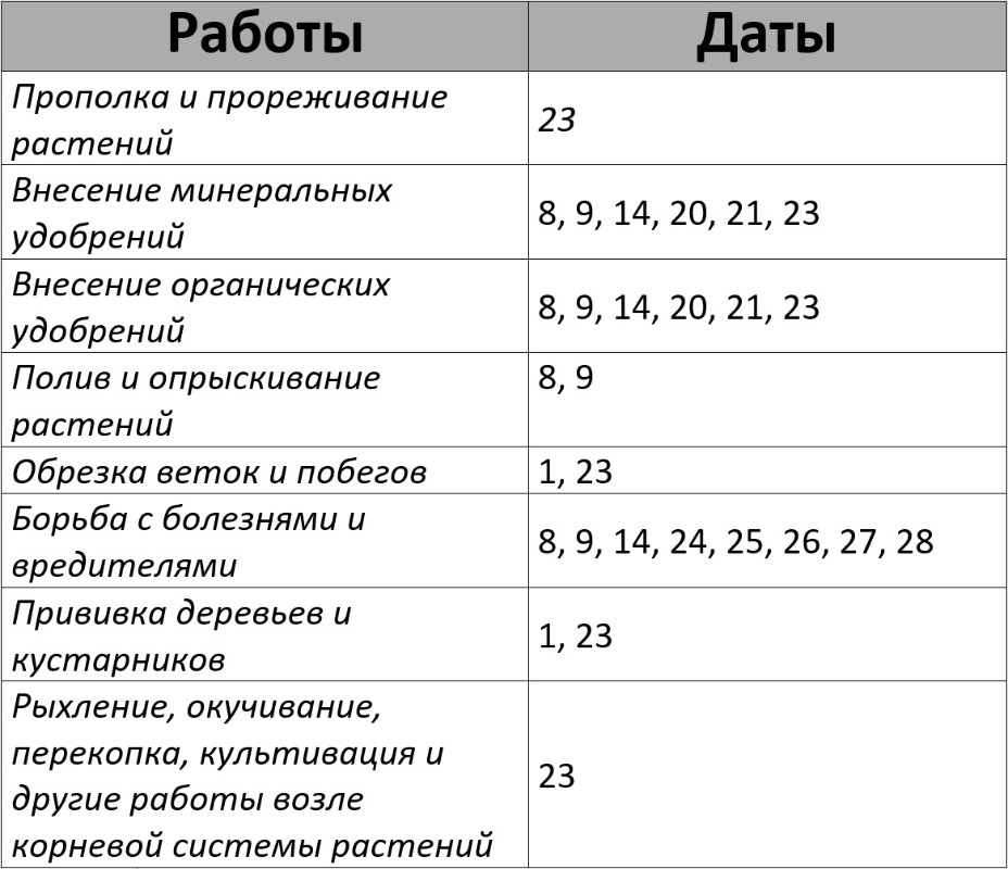 Лунный посевной календарь на февраль 2026 года для огородных работ – Kleo.ru