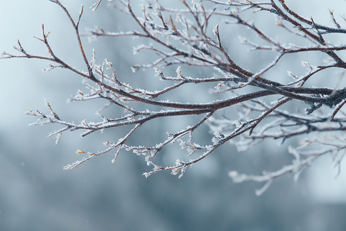 Изображение сгенерировано при помощи нейросети Midjourney