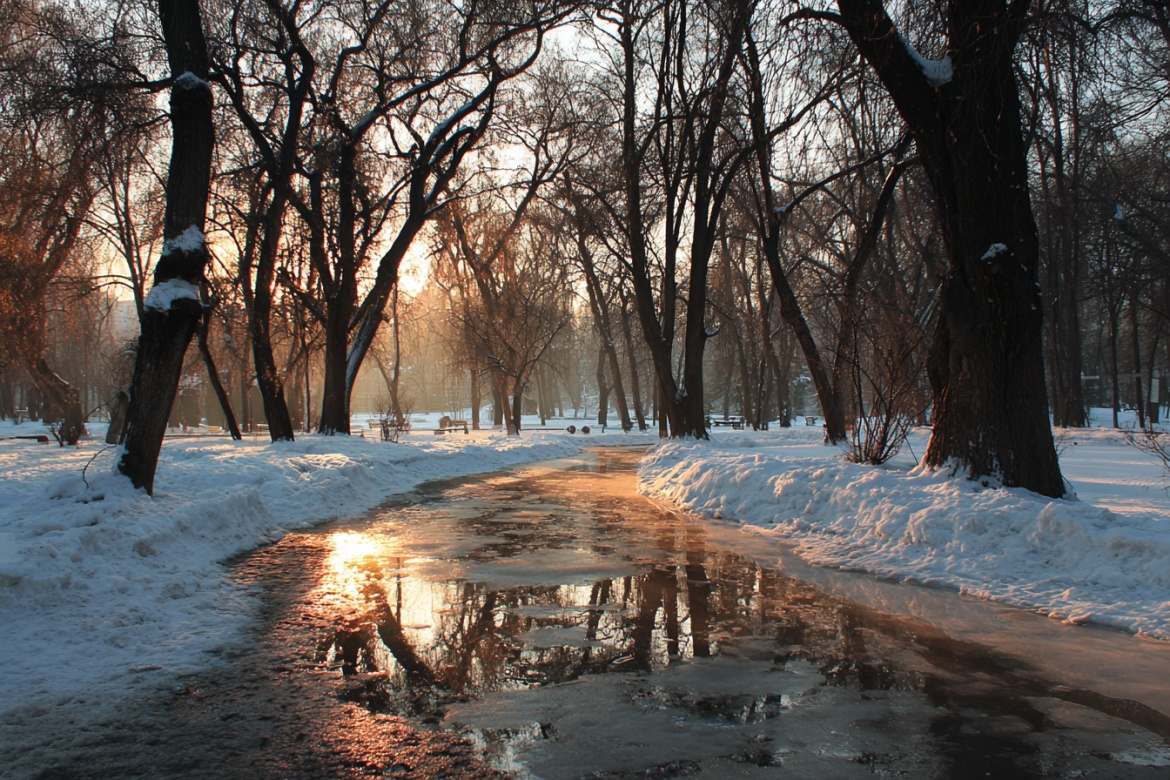 Изображение сгенерировано при помощи нейросети Midjourney