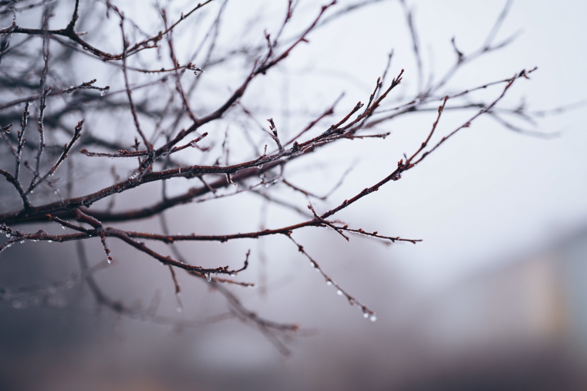 Изображение сгенерировано при помощи нейросети Midjourney