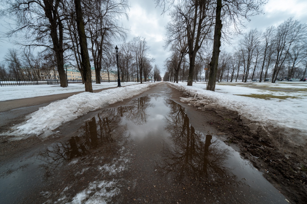 Изображение сгенерировано при помощи нейросети Midjourney