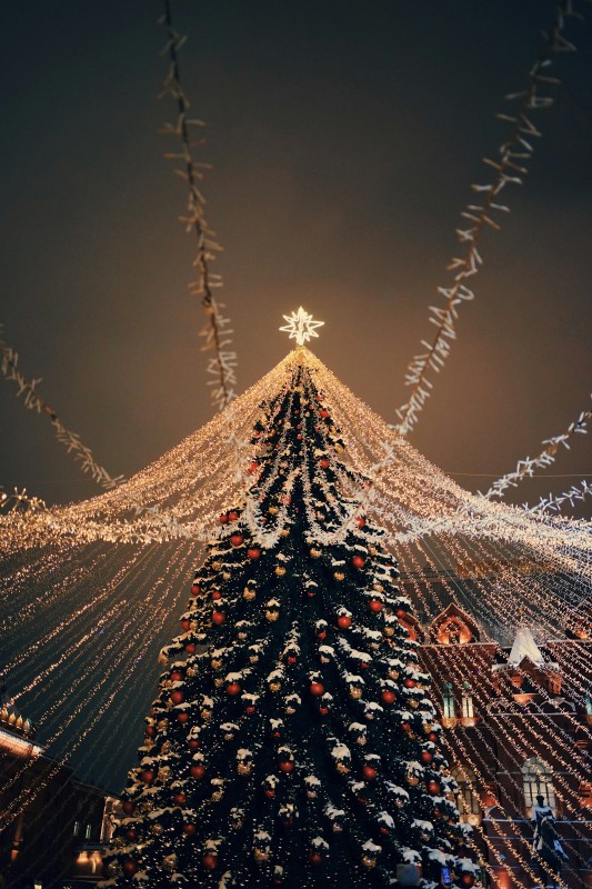 Фото: unsplash.com