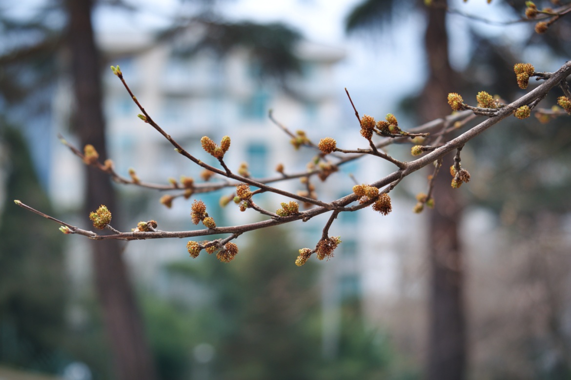 Изображение сгенерировано при помощи нейросети Midjourney