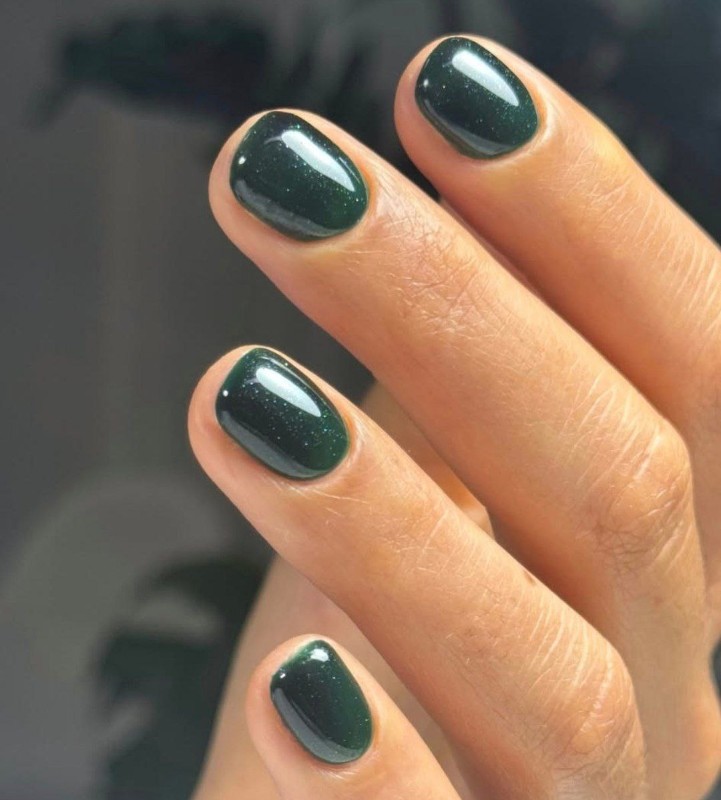 Фото: соцсети / @geisacoelho.nails