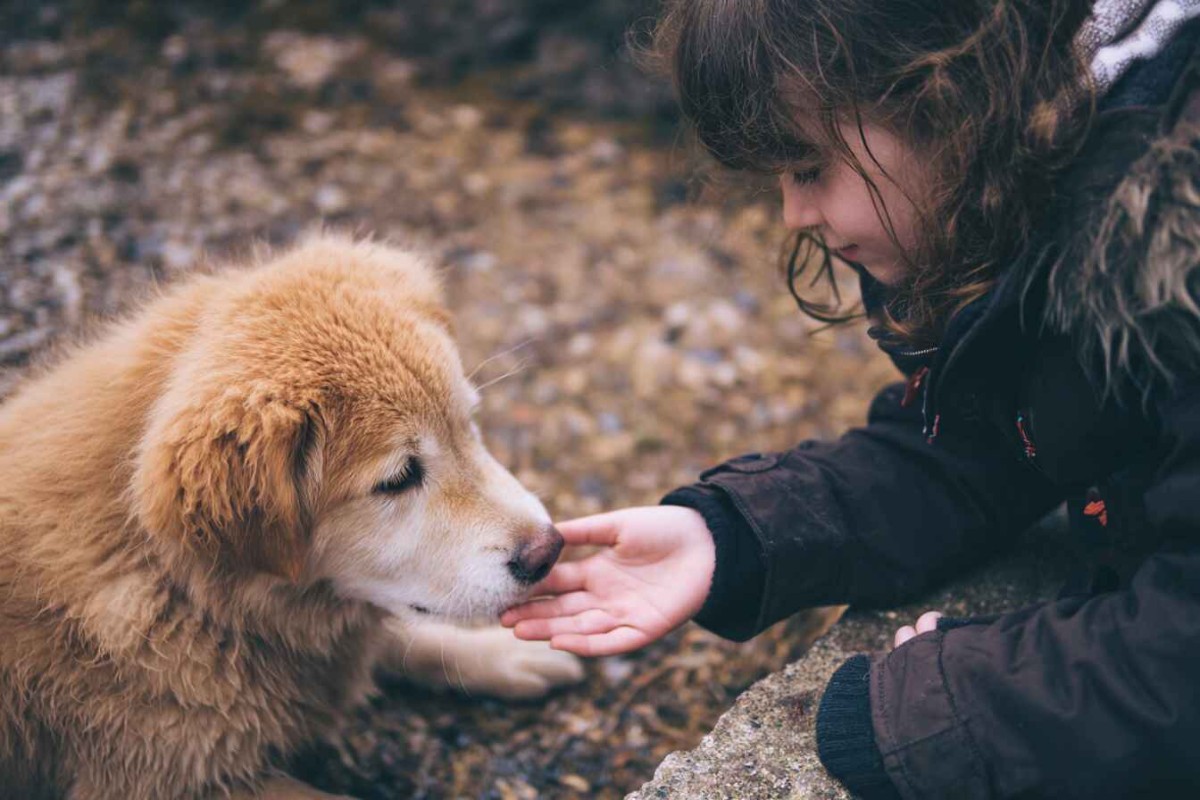 Изображение сгенерировано при помощи нейросети Midjourney