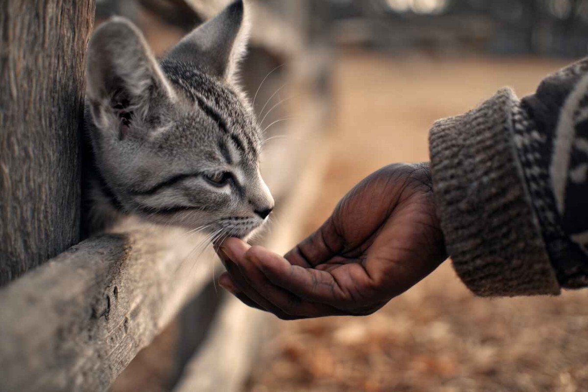 Изображение сгенерировано при помощи нейросети Midjourney