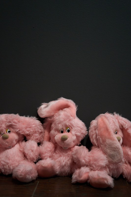 Фото: пресс-служба ММОМА