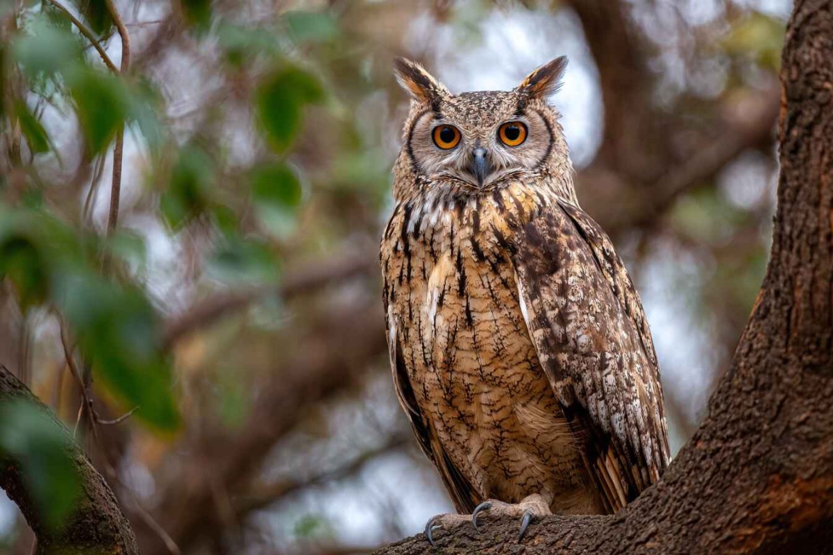 Изображение сгенерировано при помощи нейросети Midjourney