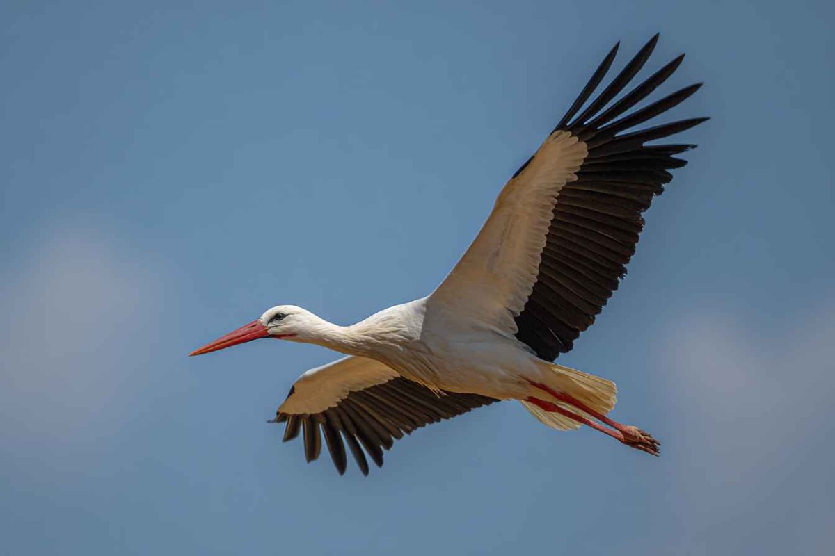 Изображение сгенерировано при помощи нейросети Midjourney